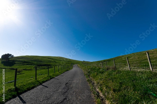 Obraz paisaje de campo despejado y soleado 