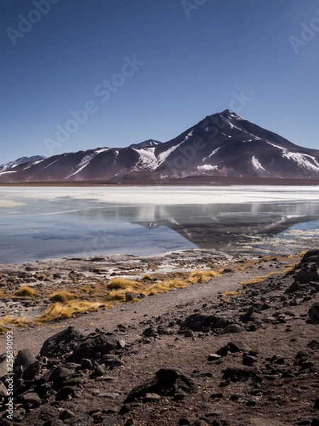 Fototapeta Laguna Blanca is a salt lake at the foot of the volcanos Licancabur and Juriques - Eduardo Avaroa Andean Fauna National Reserve, Bolivia