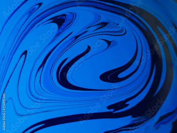 Fototapeta OLYMPUS DIGITAL CAMERA