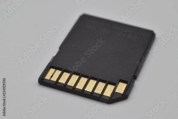 Fototapeta SD card memory in closeup