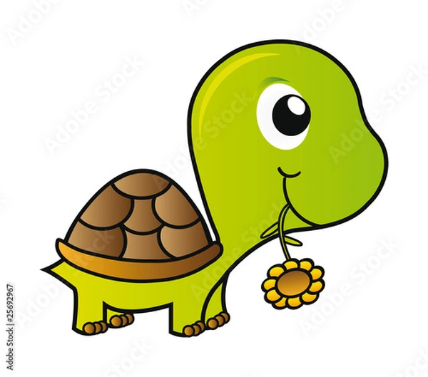 Fototapeta turtle