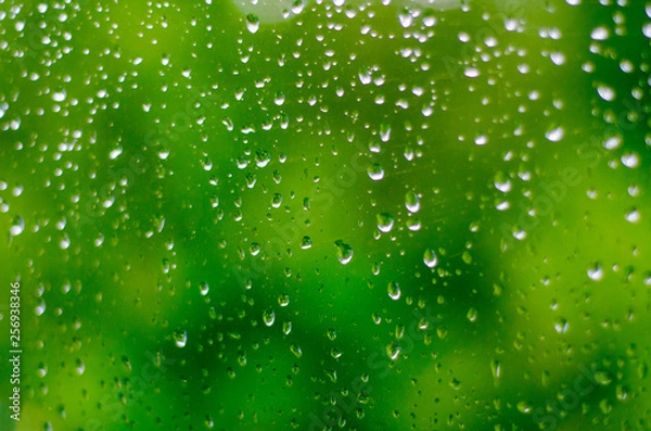 Obraz Small raindrops on the window glass in the summer against the backdrop of green