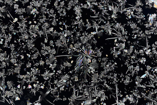 Obraz Colorful micro crystals in polarized light. Photo through a microscope.