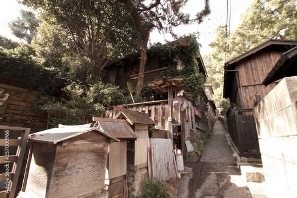 Obraz 尾道　猫の細道