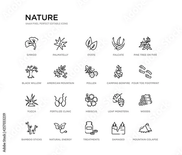 Fototapeta set of 20 line icons such as hibiscus, fertilize clinic, yucca, camping bonfire, pollen, american mountain ash, black willow, falcate, ovate, palmatelly. nature outline thin icons collection.