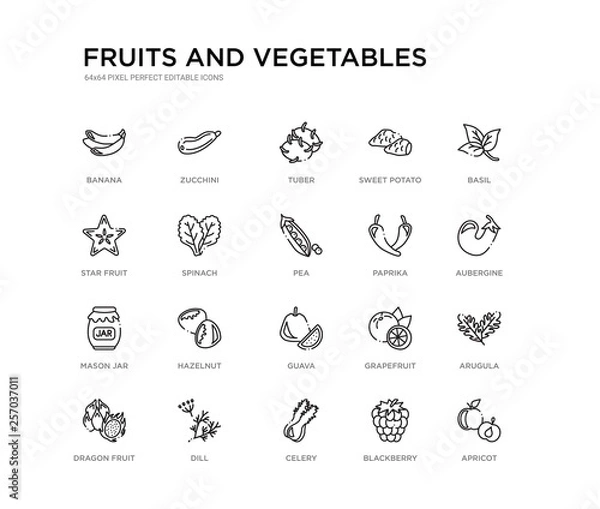 Fototapeta set of 20 line icons such as guava, hazelnut, mason jar, paprika, pea, spinach, star fruit, sweet potato, tuber, zucchini. fruits and vegetables outline thin icons collection. editable 64x64 stroke