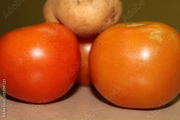 Obraz tomatoes on a white background
