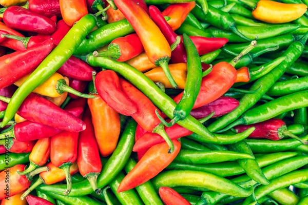 Obraz Close up fresh red and green chilli