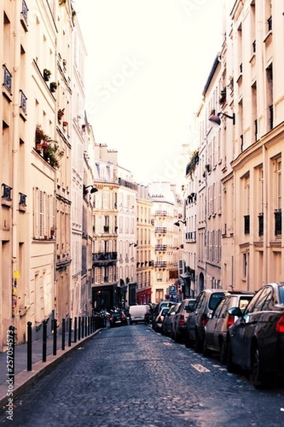 Obraz Paris street view