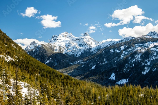 Fototapeta Sky pilot mountain and woods close up view from sea to sky gondola in squamish british columbia - canada