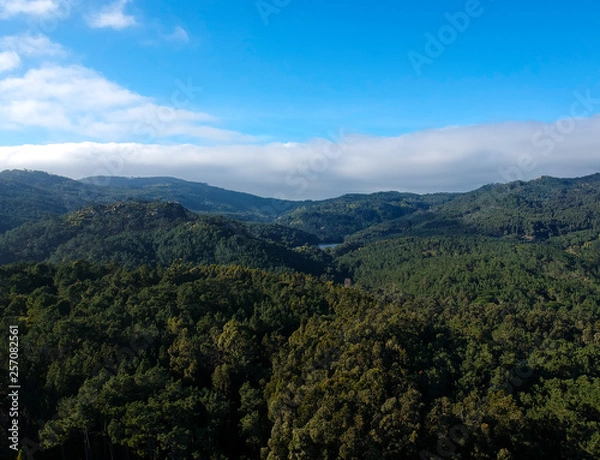 Fototapeta Aerial view from a mountain covered by trees.