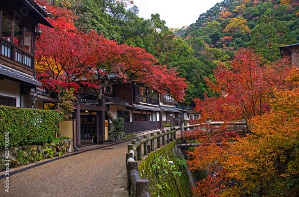 Obraz 明治の森箕面国定公園・紅葉する滝道の風景