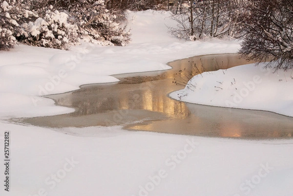 Fototapeta Winter in the park with beautiful reflection in a lake with frozen water
