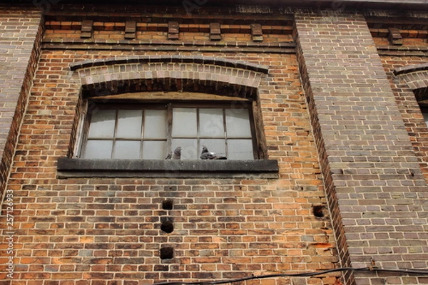 Fototapeta レンガの壁と窓