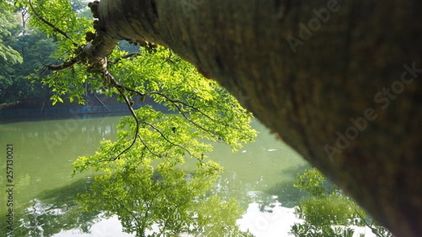 Fototapeta OLYMPUS DIGITAL CAMERA