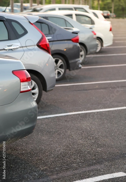 Obraz Closeup of back or rear side of green blue car with  other cars parking in parking area in twilight evening.  Vertical view. 