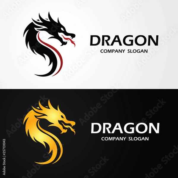 Fototapeta Dragon logo vector