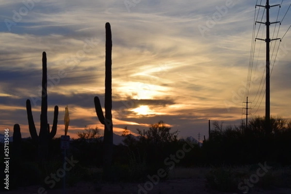 Fototapeta Cactus Sunset 09