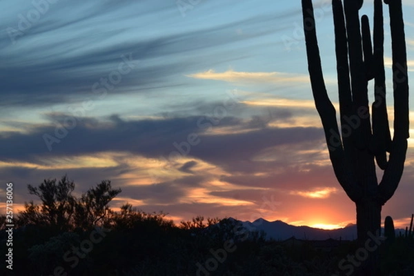 Fototapeta Cactus Sunset 03