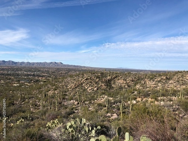 Fototapeta Desert Overlook 01