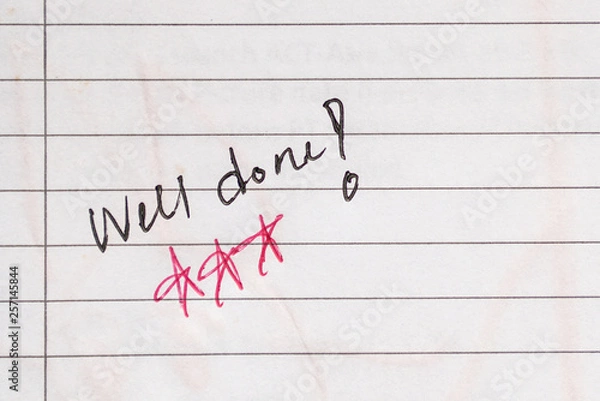 Obraz Well done or excellent work