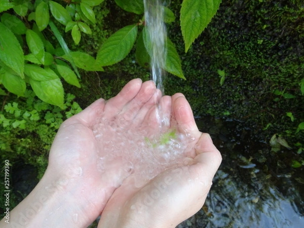 Obraz 湧き水