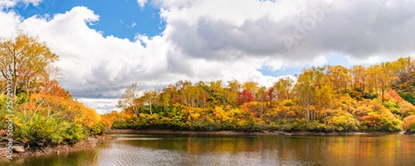 Obraz カラフルな大雪高原の秋