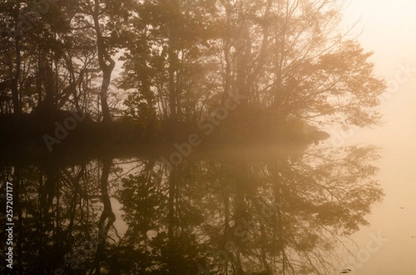Fototapeta 朝霧の大沼 静寂の朝