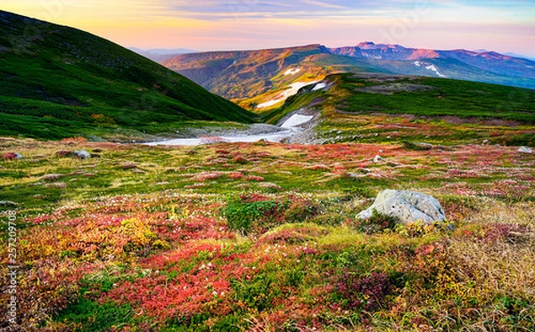 Fototapeta 美しき大雪山の紅葉　多様な植生を持つ北国の山のカラフルな紅葉