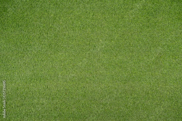 Fototapeta Green artificial grass or fake turf abstract texture.