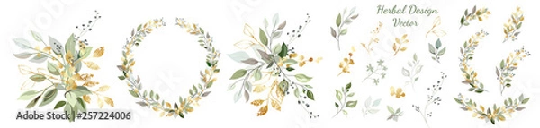 Obraz Set. Arrangement of decorative leaves and gold elements. Collection: leaves, twigs, herbs, leaf compositions, gold, wreath. Vector design.