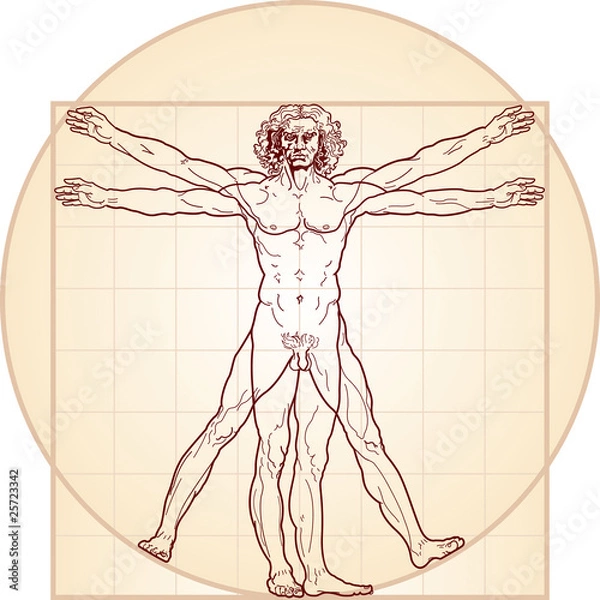 Fototapeta „Homo vitruviano”. Tak zwany Człowiek witruwiański, a.k.a. człowiek Leonarda. Szczegółowy rysunek na podstawie grafiki Leonarda da Vinci, wykonał go ok. 1490 (w 1487 lub 1490 lub 1492).