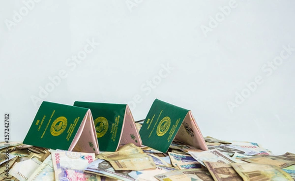 Fototapeta Multiple Ecowas Nigeria International Passport on a heap of local naira currencies
