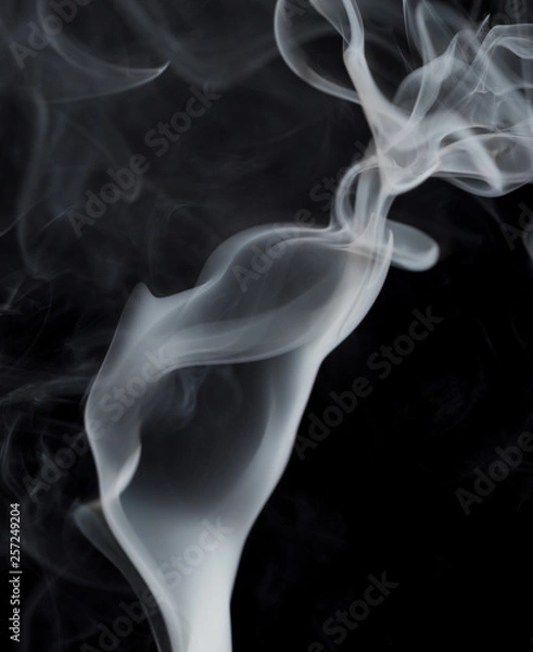 Fototapeta Abstract white smoke on black background