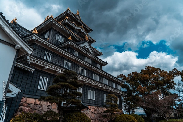 Fototapeta 岡山城