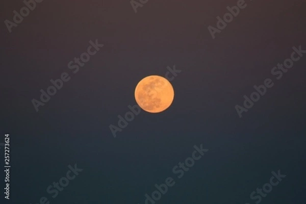 Obraz SupermoonTuttle03