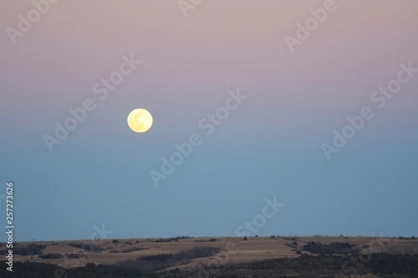 Obraz SupermoonTuttle02