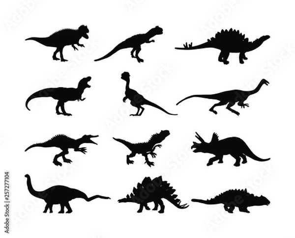 Fototapeta Dinosaurs large collection. T Rex vector silhouette isolated on white background. Tyrannosaurus shadow symbol. Jurassic era. Dino sign. Triceratops, Stegosaurus, Brachiosaurus, Pteranodon, Spinosaurus