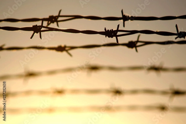 Obraz barbed wire