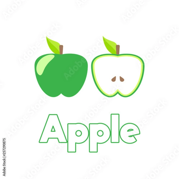 Fototapeta set of Green apple with stem and leaf.  Element of education illustration. Healthy vegetarian food. Vector isolated illustration on white background