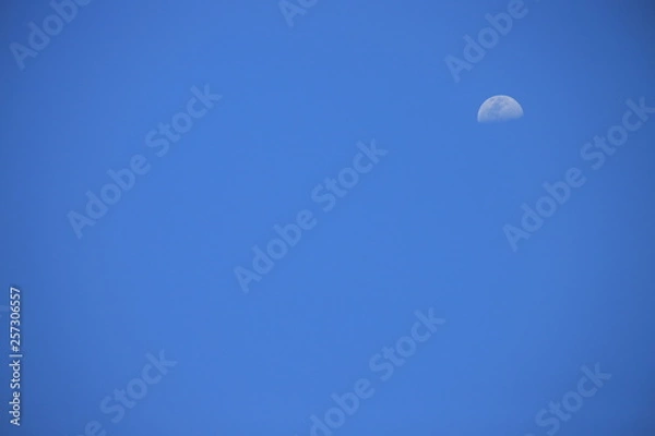 Obraz Moon in the sky in the morning, Cachoeirinha RS, Brazil.