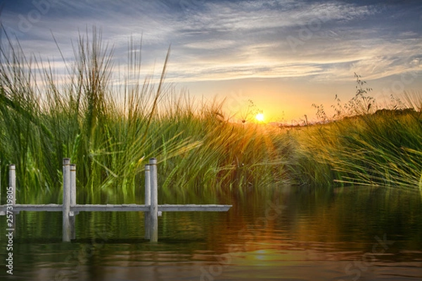 Obraz Marsh land with dock