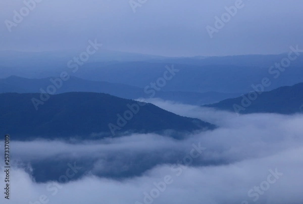Fototapeta 朝焼けの雲海