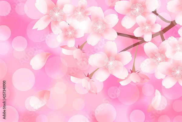 Obraz 桜　春　花　背景 