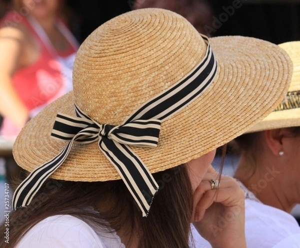 Obraz chapeau au ruban