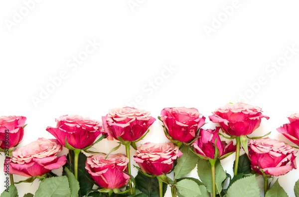 Fototapeta Flowers composition. Roses flowers on white background. Flat lay, top view, copy space. - Image