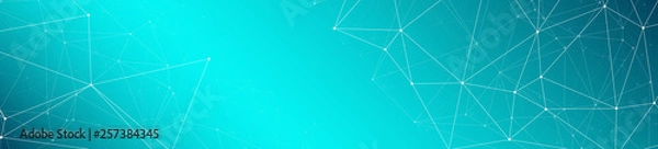 Fototapeta Global communication layout design, connected triangles shapes lines geometric wide banner vector pattern