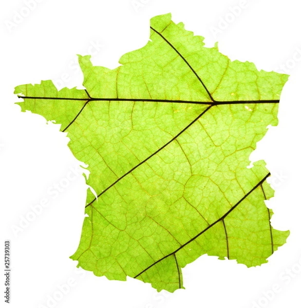 Obraz map of France
