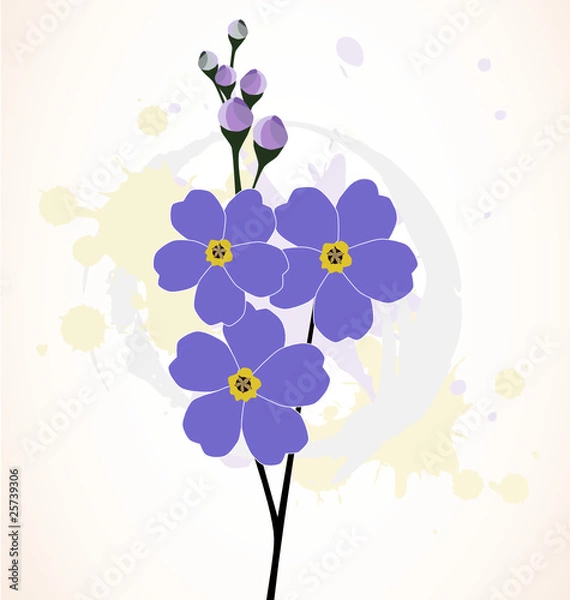 Obraz Ilustration of the beautiful forget-me-not flowers