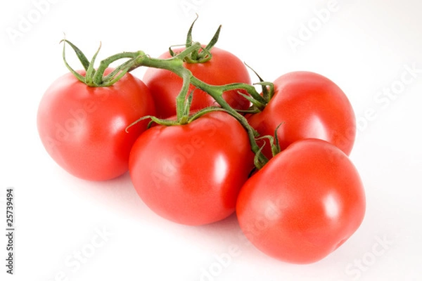 Obraz Five tomatoes on a stem